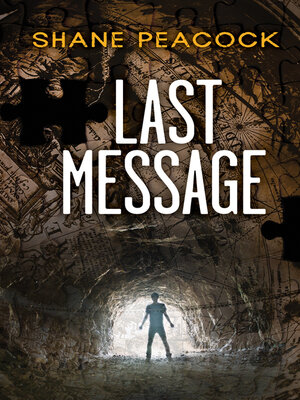 cover image of Last Message